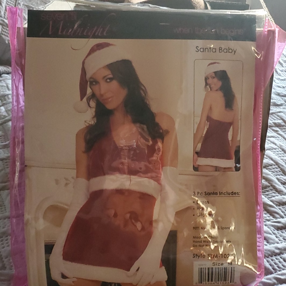 Santa Baby/Elf Costume